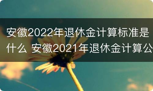 安徽2022年退休金计算标准是什么 安徽2021年退休金计算公式