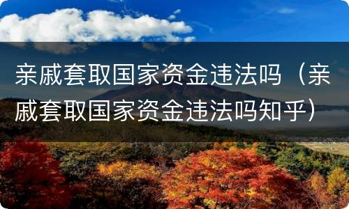 亲戚套取国家资金违法吗（亲戚套取国家资金违法吗知乎）