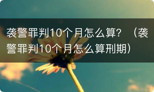 袭警罪判10个月怎么算？（袭警罪判10个月怎么算刑期）