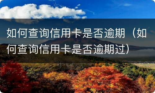 如何查询信用卡是否逾期（如何查询信用卡是否逾期过）