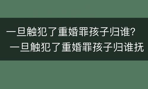 一旦触犯了重婚罪孩子归谁？ 一旦触犯了重婚罪孩子归谁抚养