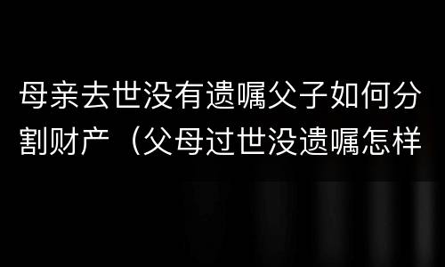 母亲去世没有遗嘱父子如何分割财产（父母过世没遗嘱怎样继承）