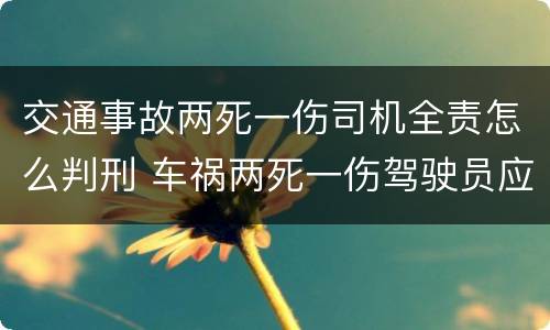 交通事故两死一伤司机全责怎么判刑 车祸两死一伤驾驶员应负什么责任