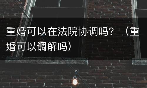 重婚可以在法院协调吗？（重婚可以调解吗）