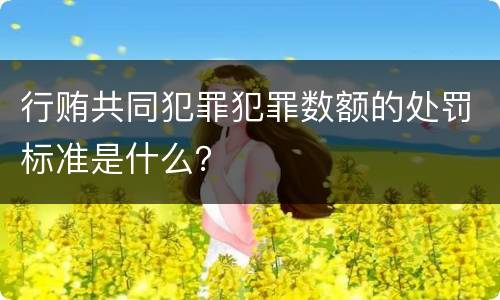 行贿共同犯罪犯罪数额的处罚标准是什么？