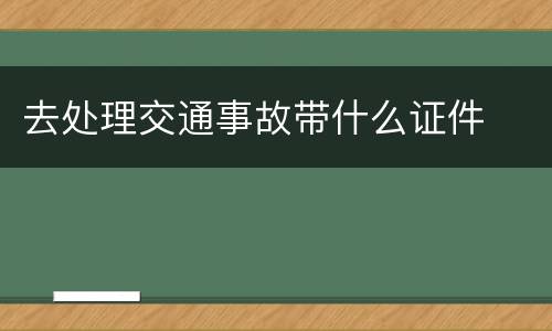 去处理交通事故带什么证件