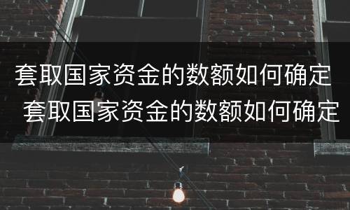 套取国家资金的数额如何确定 套取国家资金的数额如何确定标准