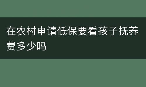 在农村申请低保要看孩子抚养费多少吗