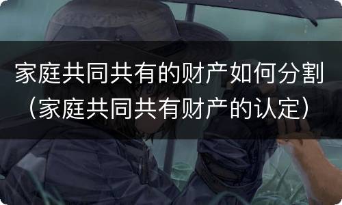 家庭共同共有的财产如何分割（家庭共同共有财产的认定）