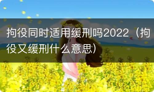 拘役同时适用缓刑吗2022（拘役又缓刑什么意思）