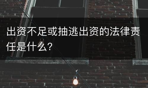 出资不足或抽逃出资的法律责任是什么？