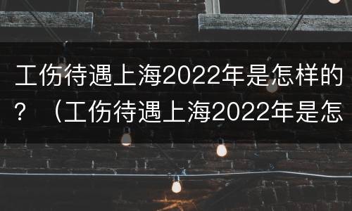 工伤待遇上海2022年是怎样的？（工伤待遇上海2022年是怎样的呢）