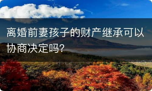 离婚前妻孩子的财产继承可以协商决定吗？