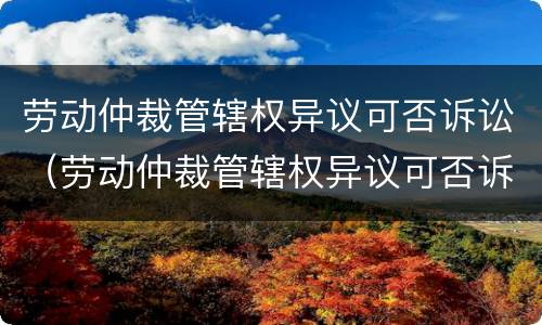 劳动仲裁管辖权异议可否诉讼（劳动仲裁管辖权异议可否诉讼解决）