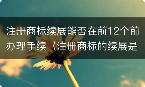 注册商标续展能否在前12个前办理手续（注册商标的续展是什么）