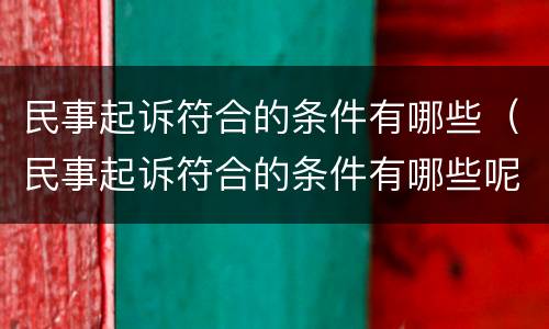 民事起诉符合的条件有哪些（民事起诉符合的条件有哪些呢）