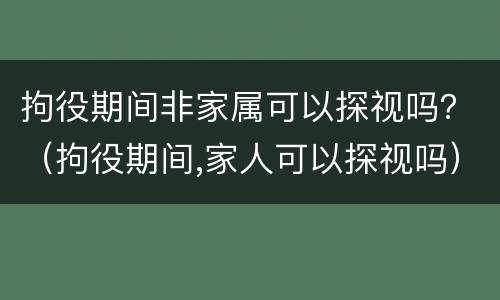 拘役期间非家属可以探视吗？（拘役期间,家人可以探视吗）