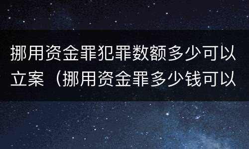 挪用资金罪犯罪数额多少可以立案（挪用资金罪多少钱可以立案?）