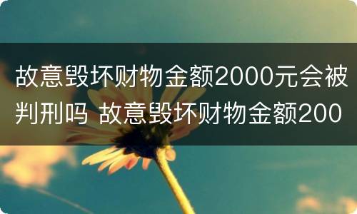 故意毁坏财物金额2000元会被判刑吗 故意毁坏财物金额2000元会被判刑吗知乎