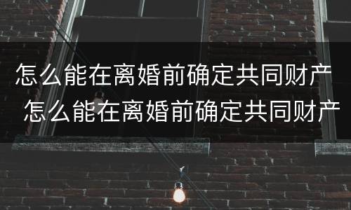 怎么能在离婚前确定共同财产 怎么能在离婚前确定共同财产分割