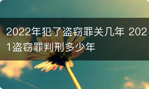 2022年犯了盗窃罪关几年 2021盗窃罪判刑多少年