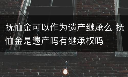 抚恤金可以作为遗产继承么 抚恤金是遗产吗有继承权吗