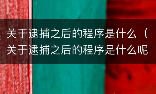 关于逮捕之后的程序是什么（关于逮捕之后的程序是什么呢）