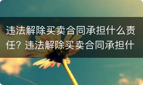 违法解除买卖合同承担什么责任? 违法解除买卖合同承担什么责任呢