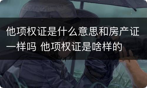 他项权证是什么意思和房产证一样吗 他项权证是啥样的