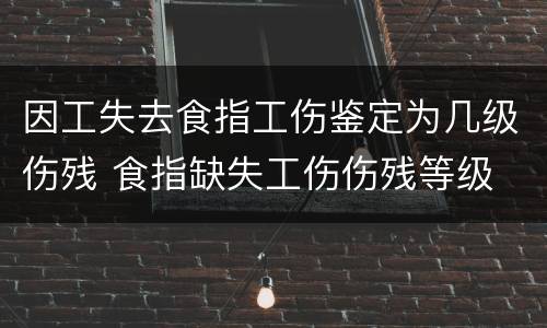 因工失去食指工伤鉴定为几级伤残 食指缺失工伤伤残等级