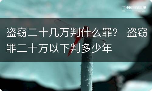 盗窃二十几万判什么罪？ 盗窃罪二十万以下判多少年