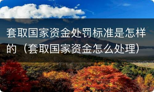 套取国家资金处罚标准是怎样的（套取国家资金怎么处理）