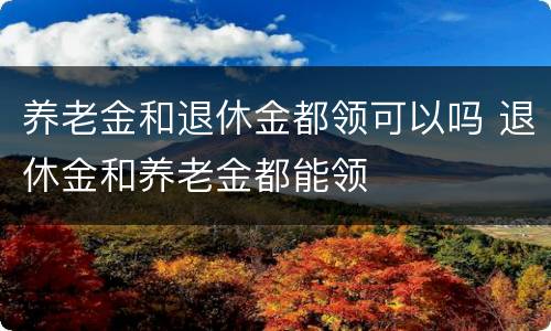 养老金和退休金都领可以吗 退休金和养老金都能领