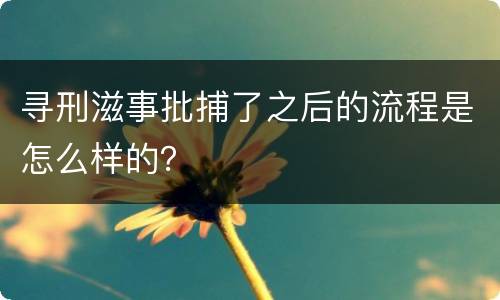 寻刑滋事批捕了之后的流程是怎么样的？