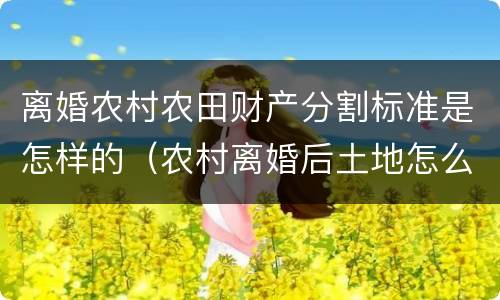 离婚农村农田财产分割标准是怎样的（农村离婚后土地怎么分配）