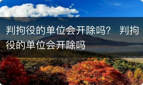 判拘役的单位会开除吗？ 判拘役的单位会开除吗