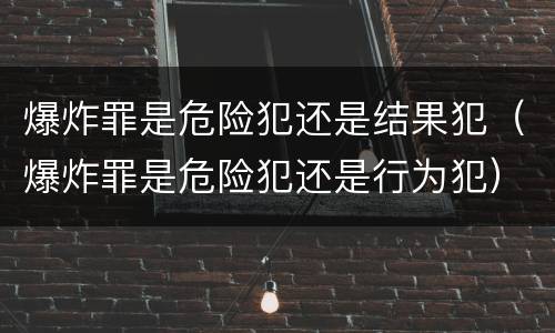 爆炸罪是危险犯还是结果犯（爆炸罪是危险犯还是行为犯）