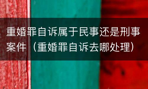 重婚罪自诉属于民事还是刑事案件（重婚罪自诉去哪处理）