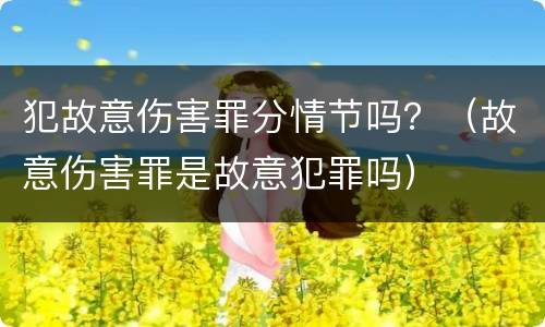 犯故意伤害罪分情节吗？（故意伤害罪是故意犯罪吗）