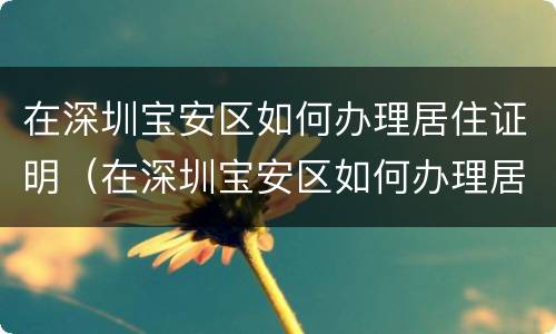 在深圳宝安区如何办理居住证明（在深圳宝安区如何办理居住证明呢）