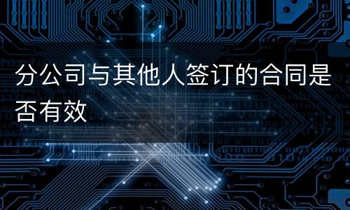 分公司与其他人签订的合同是否有效