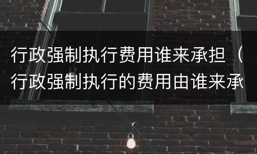 行政强制执行费用谁来承担（行政强制执行的费用由谁来承担）