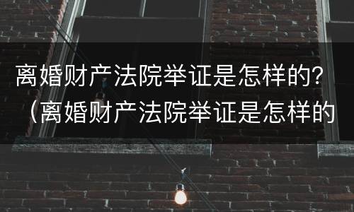 离婚财产法院举证是怎样的？（离婚财产法院举证是怎样的程序）