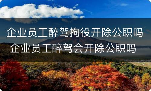 企业员工醉驾拘役开除公职吗 企业员工醉驾会开除公职吗