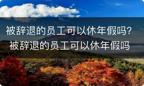 被辞退的员工可以休年假吗？ 被辞退的员工可以休年假吗