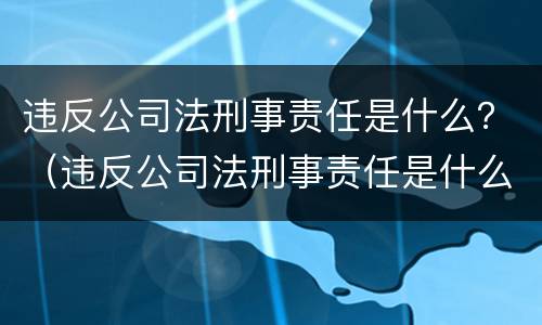 违反公司法刑事责任是什么？（违反公司法刑事责任是什么处罚）