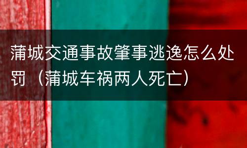 蒲城交通事故肇事逃逸怎么处罚（蒲城车祸两人死亡）