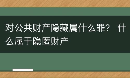 对公共财产隐藏属什么罪？ 什么属于隐匿财产