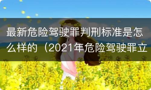 最新危险驾驶罪判刑标准是怎么样的（2021年危险驾驶罪立案量刑最新标准）