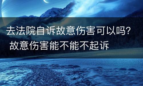 去法院自诉故意伤害可以吗？ 故意伤害能不能不起诉